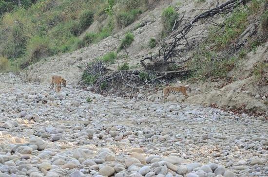Jim Corbett Resort Ramnagar  Esterno foto
