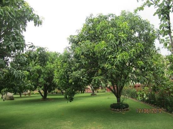 Jim Corbett Resort Ramnagar  Esterno foto